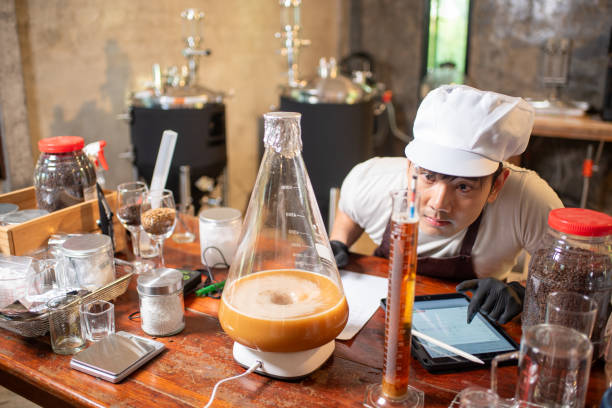 beer brewing extract kits guide