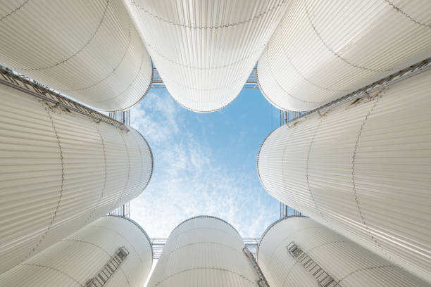 cans of beer in a keg guide