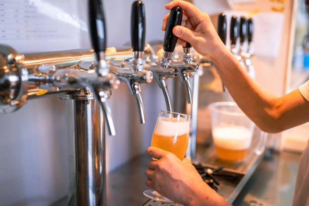 homemade beer brewing equipment guide