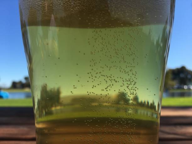 oz in a growler of beer