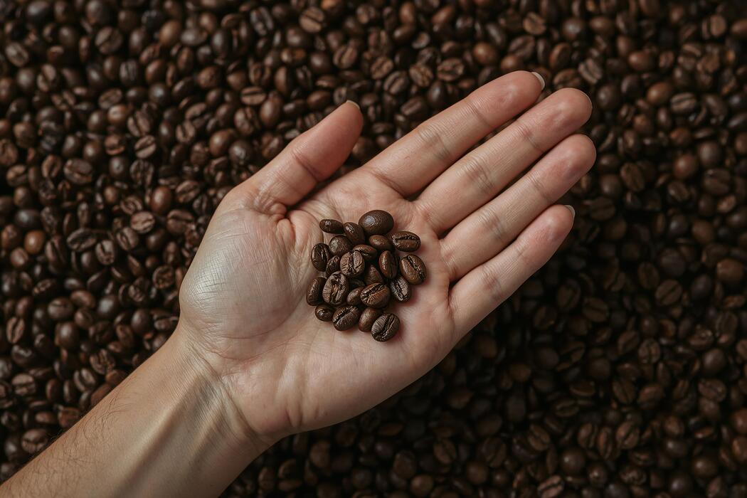 how long do coffee beans stay good info 2