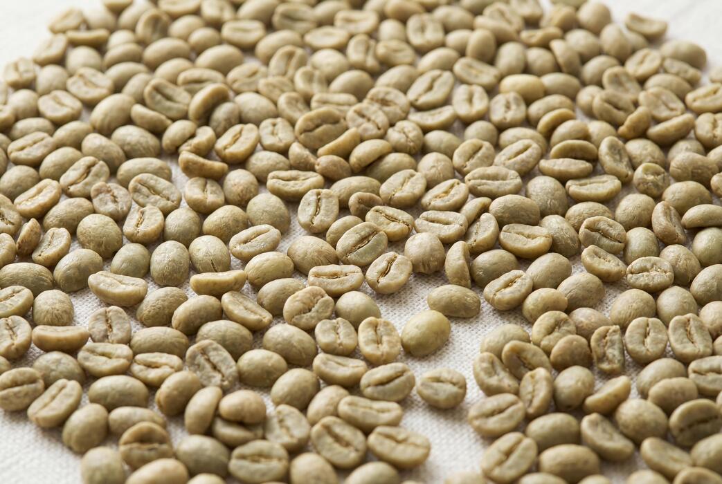 how long do green coffee beans stay fresh info 2