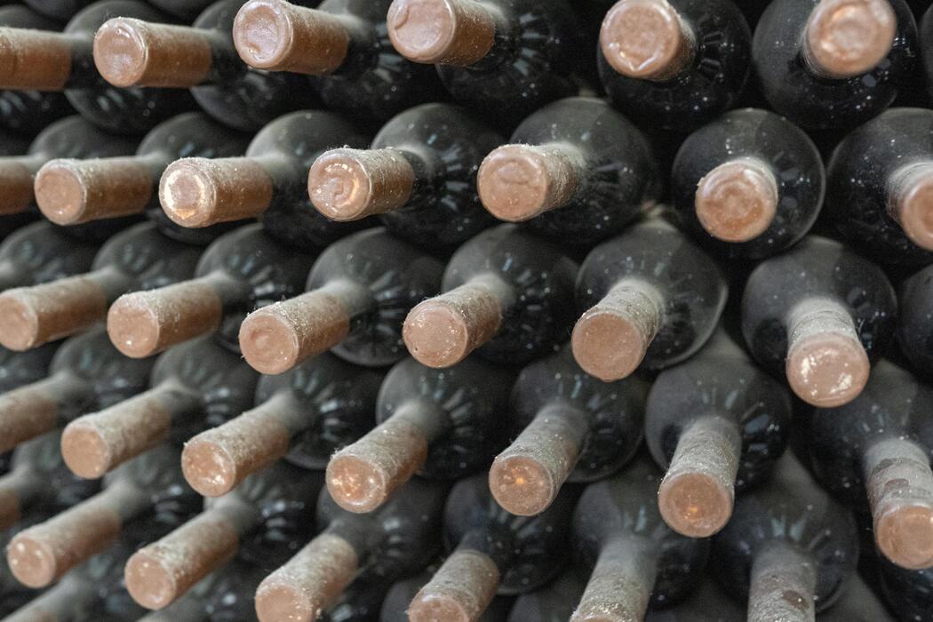 best temp for red wine storage info 1