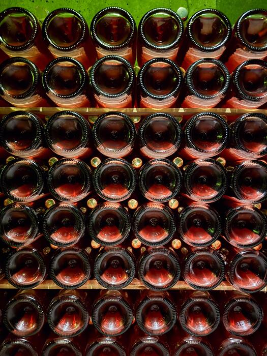 best temp for red wine storage info 3