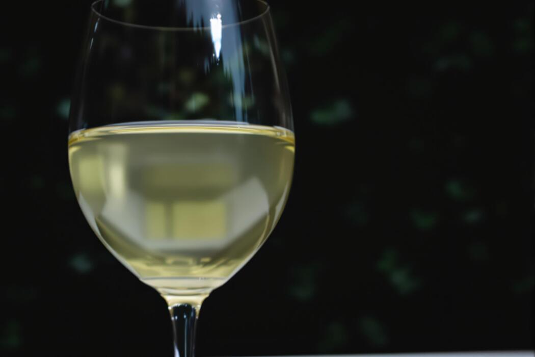 best temperature for white wine fridge info 3