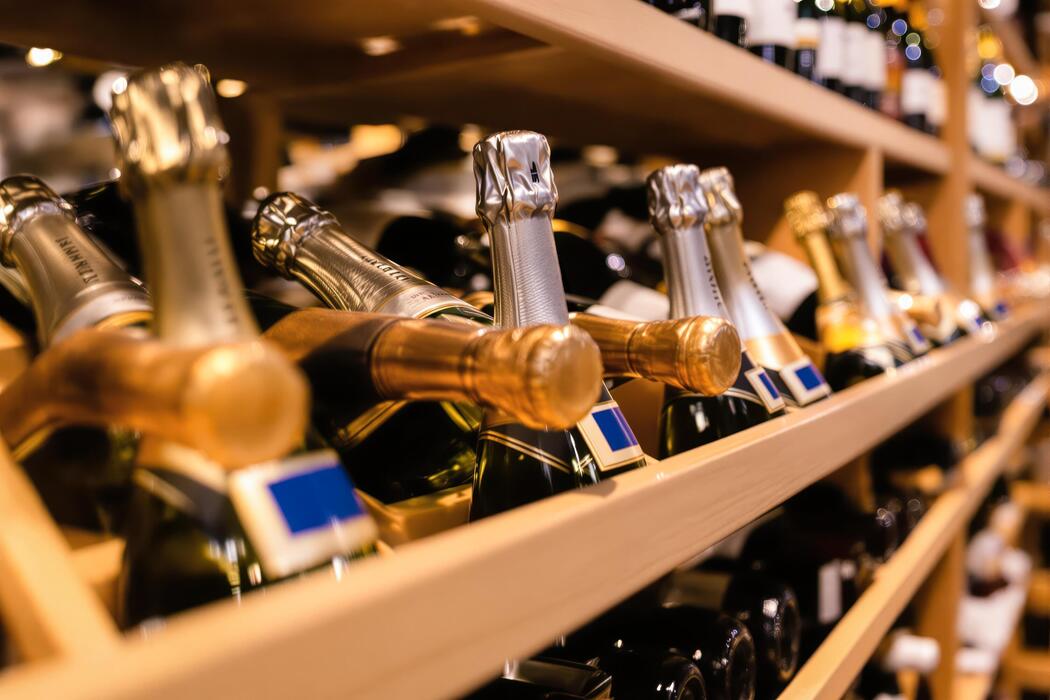 best temperature to store wine in wine fridge info 1