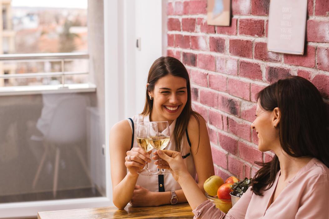 best wine coolers to buy info 2