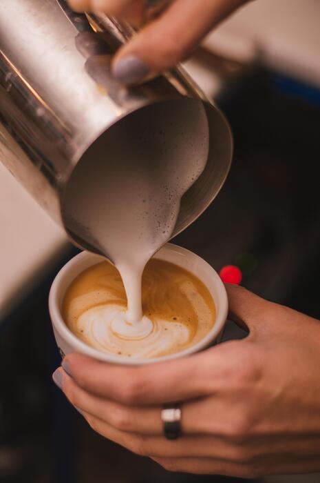 how to use french press to froth milk info 2